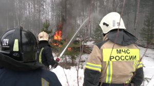 В Марий Эл прошли учения спасателей по отработке действий при половодье и природных пожарах