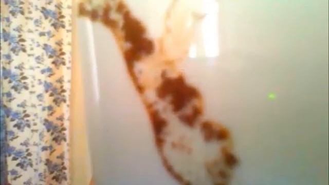 Как научится гадать на кофейной гуще Часть №2, 15 тый урок смотреть онлайн