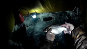 Ночной подлещик. Зимняя рыбалка 3. Winter fishing at night time