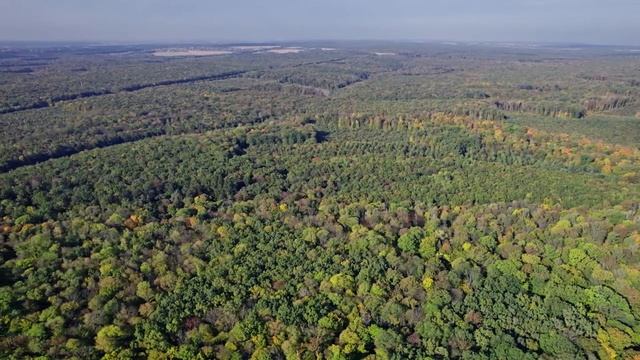 The most beautiful melody in the world! You can listen to this music forever! Music Sergey Grischuk смотреть онлайн