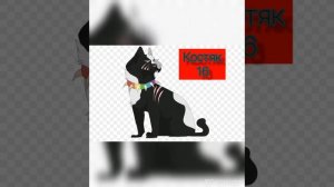 Какой ты кот воитель по дате рождения
