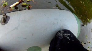 Как очистить водоём от водорослей без химии.