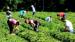 Совместное производство. О трудовой деятельности в коммунах четвертого измерения.