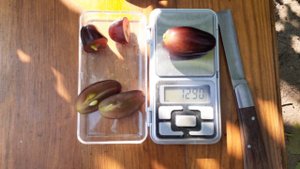 виноград Находка Калугіна