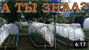 п/автоматический КАПЕЛЬНЫЙ ПОЛИВ в открытом грунте!???