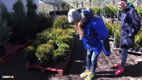 Туи в саду |Ландшафтный дизайн с туями |Чем отличается туя смарагд и туя брабант