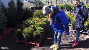 Туи в саду |Ландшафтный дизайн с туями |Чем отличается туя смарагд и туя брабант
