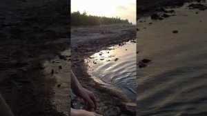 ух-ты,ах-ты,вода вода вода