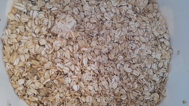 Рецепт, печенье овсянка/Нонхои зебо/Намемонанд зиндаги кунем?/Хамакаса хамла карданд? смотреть онлайн