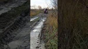 Мотороллер Муравей ,за дровами . по бездорожью.