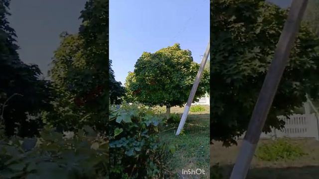 Обзор села Крем- Константиновское, КБР, в субботу 🌿