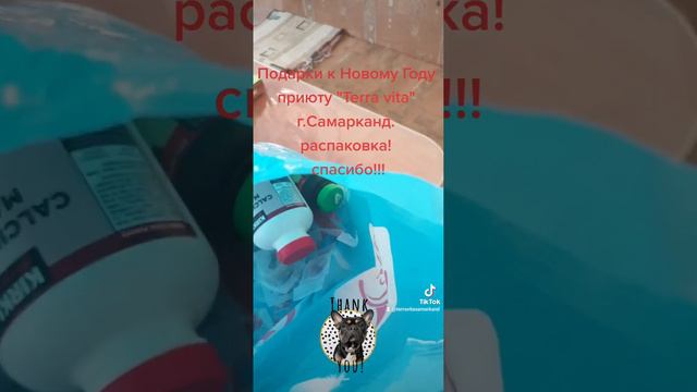 новогодние подарки приюту