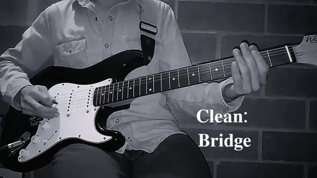 Washburn WS300B - (Sound Test) смотреть онлайн