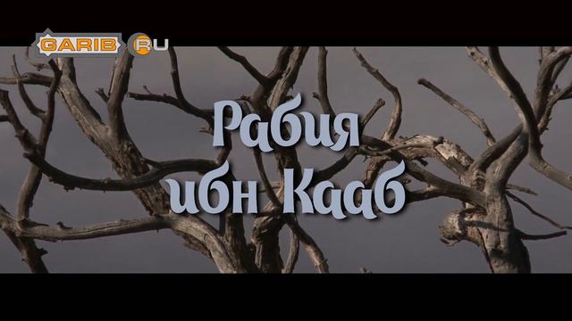 Рабия ибн Кааб | «Не жениться ли тебе, о Рабиа?»