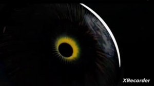 МАТРИЦА П.П. ГАРЯЕВА. ВОССТАНОВЛЕНИЕ ЗРЕНИЯ,КВАНТОВОЕ ИСЦЕЛЕНИЕ ЗВУКОМ