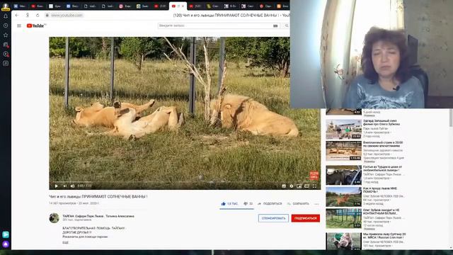 Стрим 1 августа смотреть онлайн