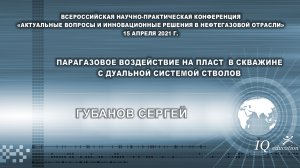 Парагазовое воздействие на пласт с дуальной системой стволов