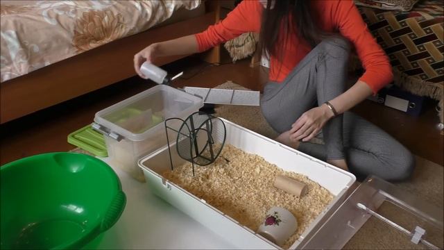 Уборка дюны хомячка // Пуся крот