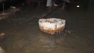 Запах из подвала