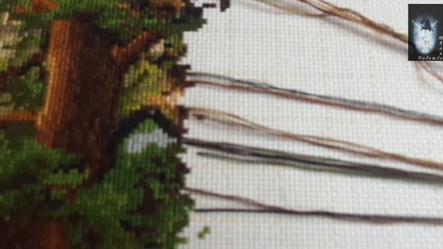 LucaS Утро сосновом лесу Отчет 5 СП В мире животных смотреть онлайн