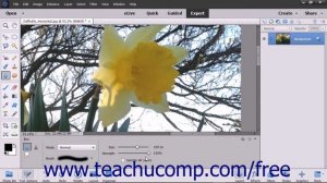 Photoshop Elements 15 Tutorial Blurring & Sharpening Images Adobe Training