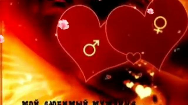 Ты мой любимый мужчина