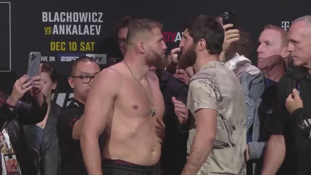 UFC 282: Битвы взглядов