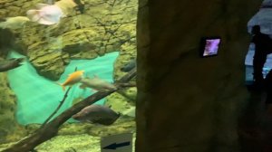 ОКЕАНАРИУМ ЕКАТЕРИНБУРГА