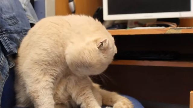 Первое видео моего канала. Снято на canon 550d + 18-55 смотреть онлайн