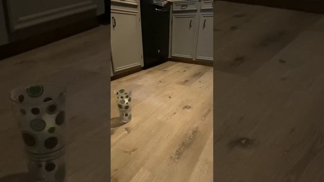 Ping pong trick shots 2 смотреть онлайн