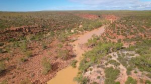 Вот как ведет себя порядочная женщина! Выбирай таких