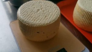 Авторский Сыр Дон Симон с чёрным перцем и цедрой лимона _ Сыры Ольги Елисеевой.mp4