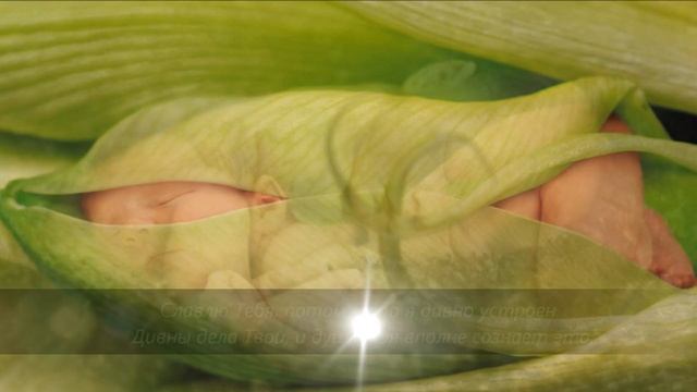 Псалом 138_Испытай меня, Боже, и узнай сердце мое смотреть онлайн