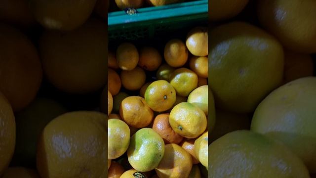 Сезон мандарин продолжается
