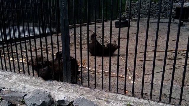 Когда делать за компом нечего FULL VERSION смотреть онлайн