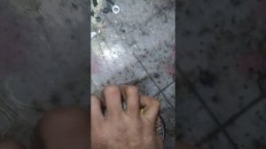 Не выкидывай старый валенок! Войлочный диск для полировки сделай сам.