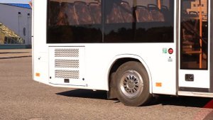 Автобус МАЗ 206