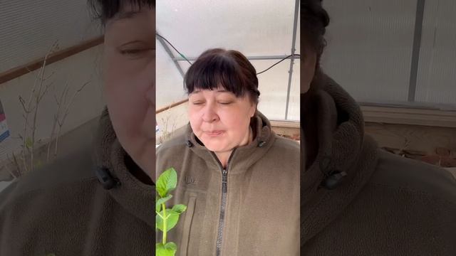 Зеленый бизнес с нуля это просто?