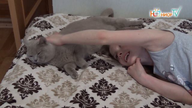 НАШИ ПИТОМЦЫ. Сюжет Полины Синёвой. смотреть онлайн