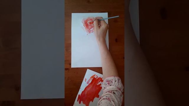 Как нарисовать розу акварелью? Видео-урок по рисованию смотреть онлайн