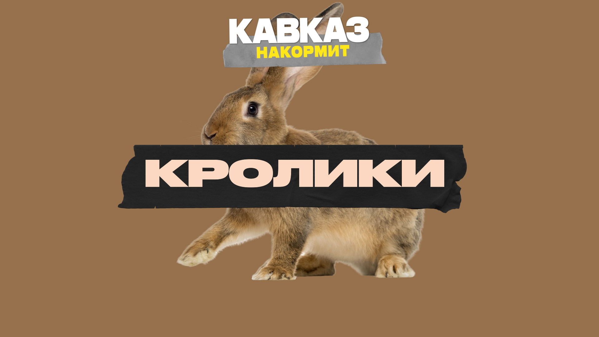 Кавказ накормит. Кролики