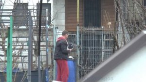 Мишаня в Гостях l Это не голуби ! Это Идеальные Голуби l