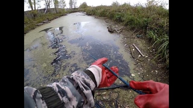 Два пруда на Поисковый магнит! Монеты на поисковый магнит!