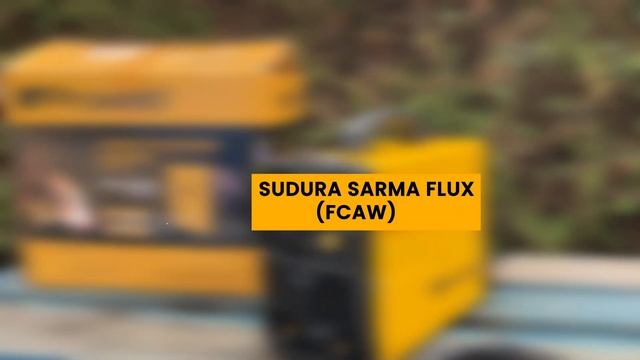 Aparat de sudura multifunctional ProWELD Flux 1032e tip invertor functie FCAW, MMA si TIG смотреть онлайн