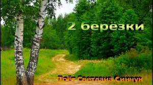 2 березки.mp4 (исп.С.Синчук)