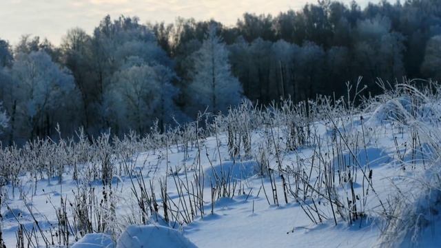 С Новым 2015 годом! песня "Снег" Александра Городницкого и авторские фотографии Дубны Тульской смотреть онлайн