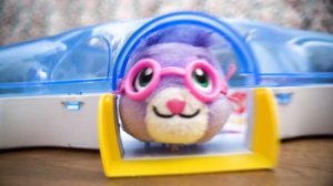 Spin Master | Zhu Zhu Pets - Search For The Zhu Zhu Pets (House #1)