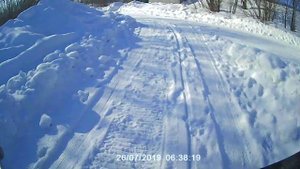 Эффективность самодельных тормозов на мотособаке, проверка при  остановке по накатанному.