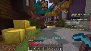 How To Use Hypixel Skyblock Personal Compactor 4000