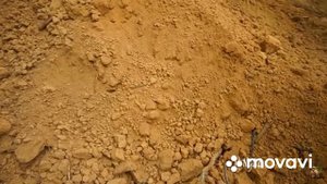 Индусы копают бассей выживание в джунглях